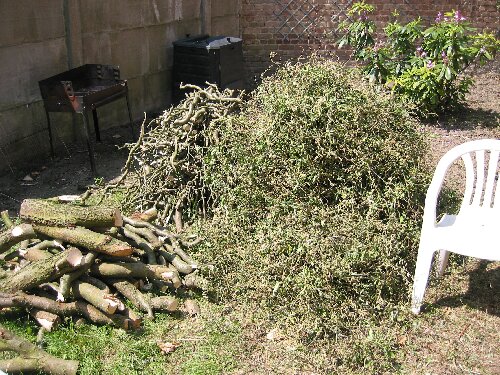 Stiekem een boom snoeien