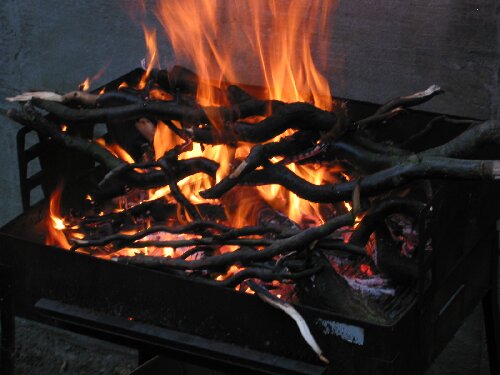 Stiekem een boom snoeien