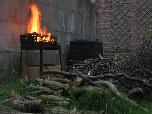 Stiekem een boom snoeien